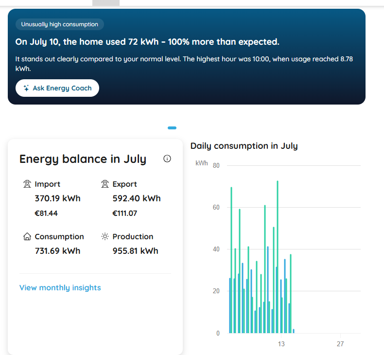 The energy coach mid-conversation, citing the customer's own figures with a caveat about uncertain hourly values